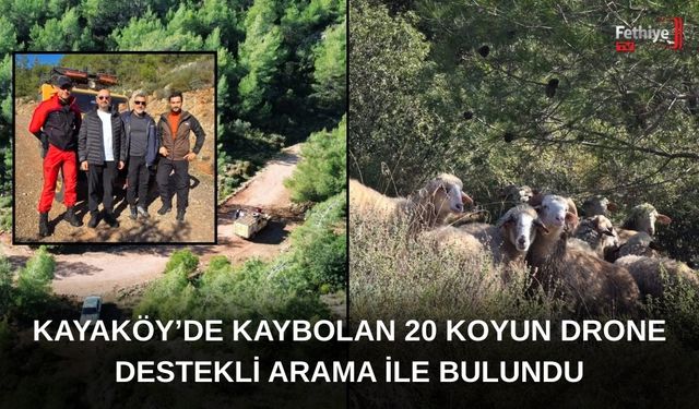 Kayaköy’de Kaybolan 20 Koyun Drone Destekli Arama İle Bulundu