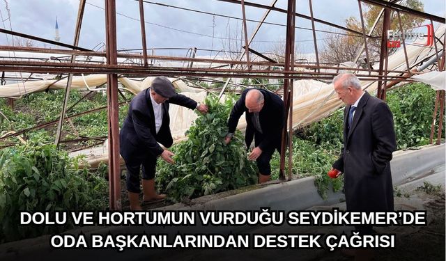 Dolu Ve Hortumun Vurduğu Seydikemer’de Oda Başkanlarından Destek Çağrısı