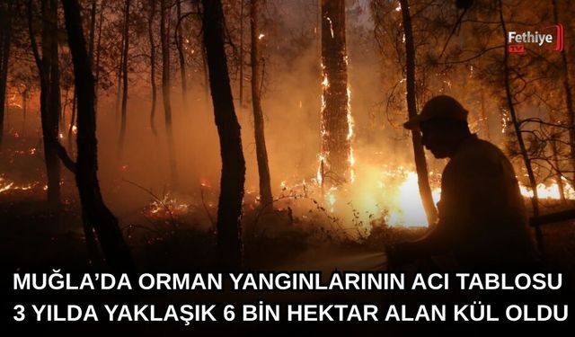 Muğla’da Orman Yangınlarının Acı Tablosu