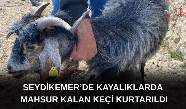 Seydikemer’de Kayalıklarda Mahsur Kalan Keçi Kurtarıldı