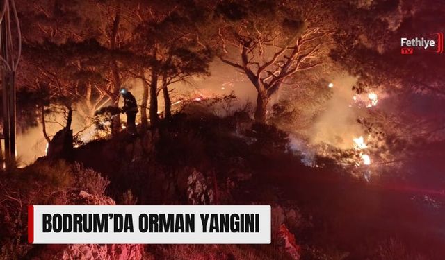 Bodrum’da Orman Yangını