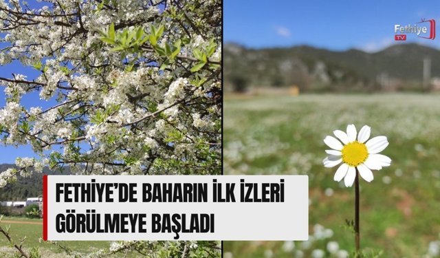 Fethiye’de Baharın İlk İzleri Görülmeye Başladı