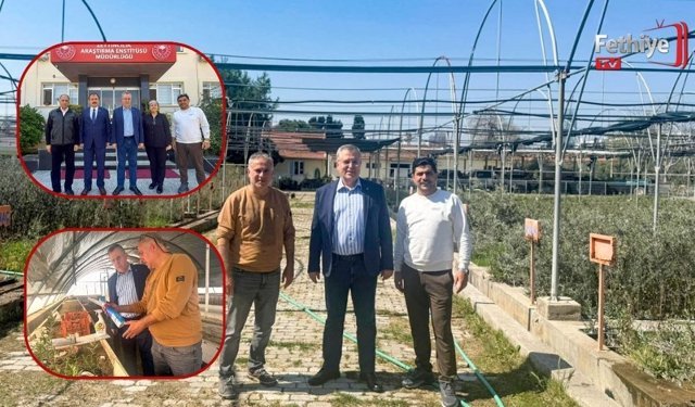 FTSO’dan ‘Fethiye Zeytinyağı’ İçin Coğrafi İşaret Adımı