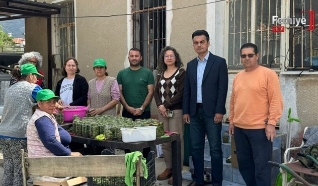 Çağla Turşusu Bereketi: Kadın Üreticilerden Ekonomiye Katkı