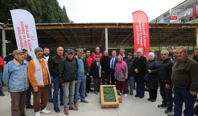 500 Bin Ata Tohumundan Üretilen Fideler Toprakla Buluşuyor