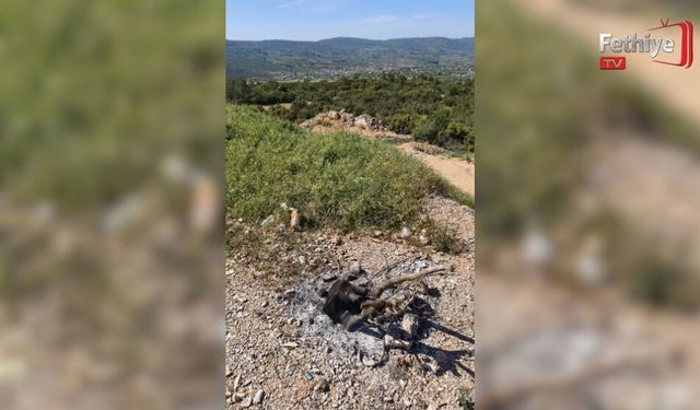 Sorumsuzluk Yangına Davetiye Çıkarıyor