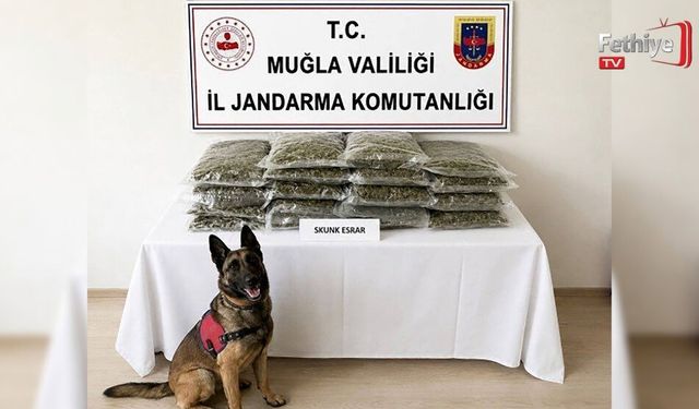 Jandarmadan Uyuşturucuya Geçit Yok