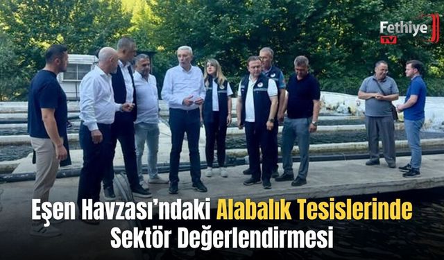 Eşen Havzası’ndaki Alabalık Tesislerinde Sektör Değerlendirmesi