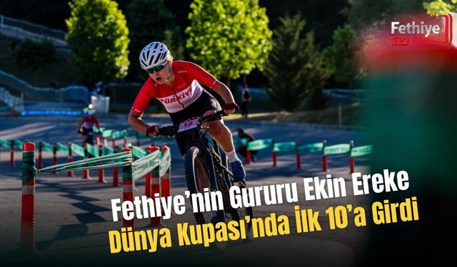 Spor