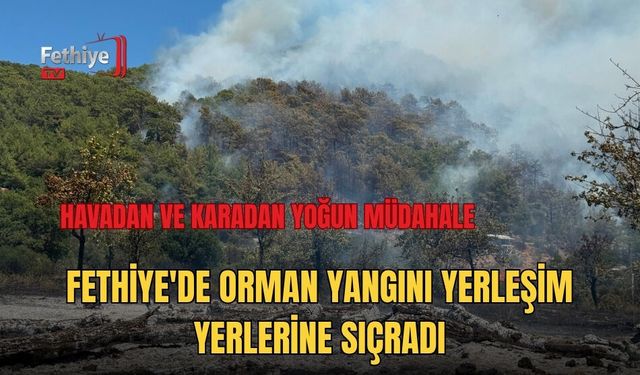 Fethiye'de Orman Yangını Yerleşim Yerlerine Sıçradı