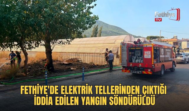 Fethiye'de Elektrik Tellerinden Çıktığı İddia Edilen Yangın Söndürüldü