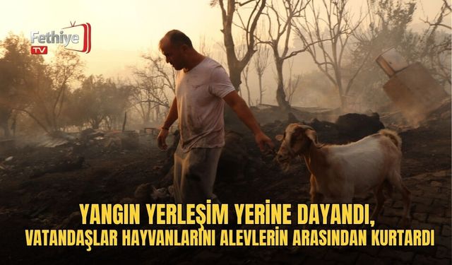 Yangın Yerleşim Yerine Dayandı, Vatandaşlar Hayvanlarını Alevlerin Arasından Kurtardı