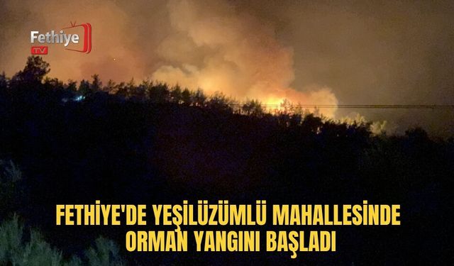 Fethiye'de Yeşilüzümlü Mahallesinde Orman Yangını Başladı