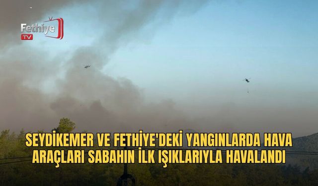 Seydikemer Ve Fethiye'deki Yangınlarda Hava Araçları Sabahın İlk Işıklarıyla Havalandı