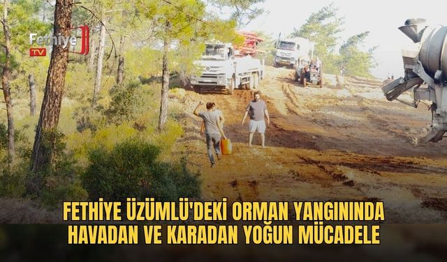 Fethiye Üzümlü'deki Orman Yangınında Havadan Ve Karadan Yoğun Mücadele