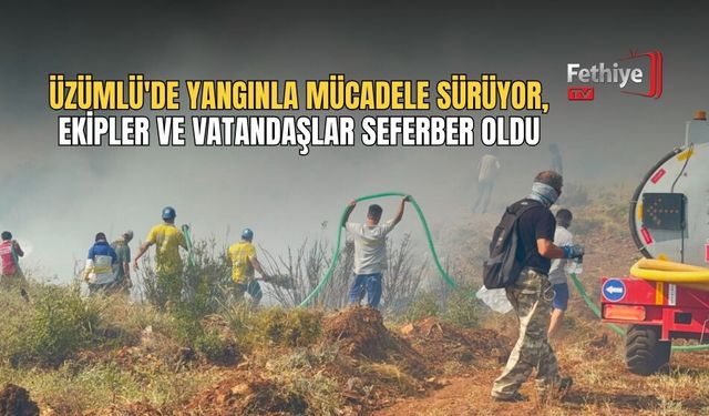 Üzümlü'de Yangınla Mücadele Sürüyor, Ekipler Ve Vatandaşlar Seferber Oldu