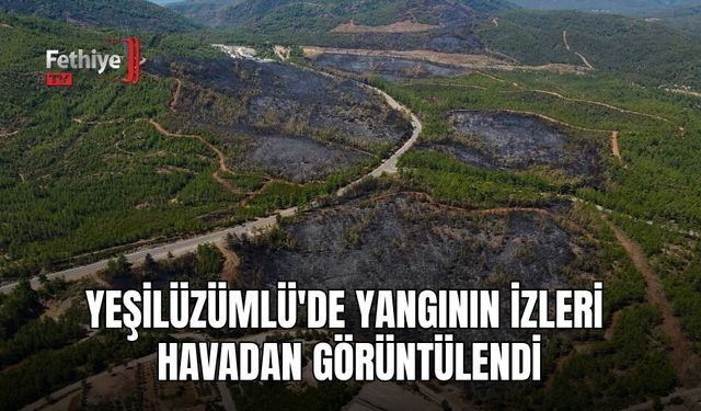 Yeşilüzümlü'de Yangının İzleri Havadan Görüntülendi