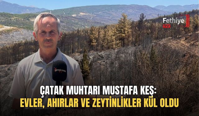 Çatak Muhtarı Mustafa Keş: Evler, Ahırlar Ve Zeytinlikler Kül Oldu