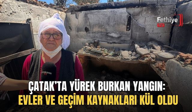 Çatak’ta Yürek Burkan Yangın: Evler Ve Geçim Kaynakları Kül Oldu