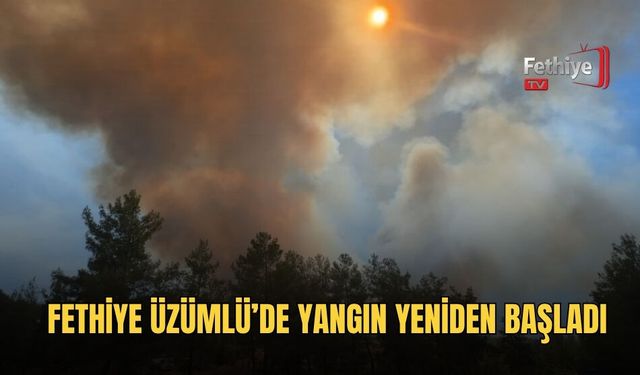 Fethiye Üzümlü’de Yangın Yeniden Başladı