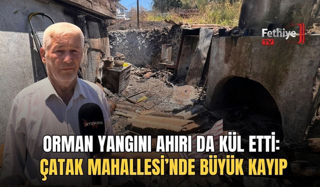 Orman Yangını Ahırı Da Kül Etti: Çatak Mahallesi’nde Büyük Kayıp