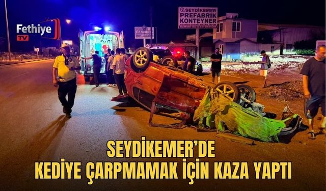 Seydikemer’de Kediye Çarpmamak İçin Kaza Yaptı