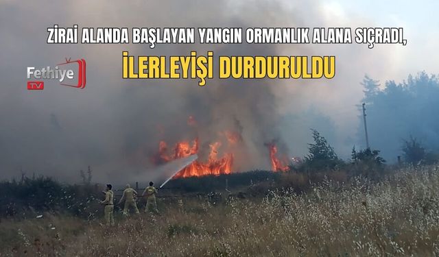 Zirai Alanda Başlayan Yangın Ormanlık Alana Sıçradı, İlerleyişi Durduruldu