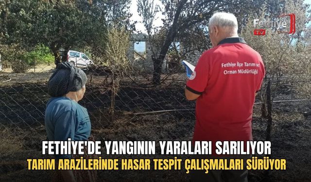 Fethiye'de Yangının Yaraları Sarılıyor