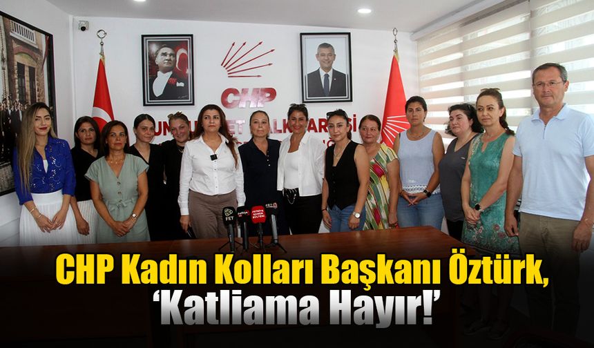 CHP Kadın Kolları Başkanı Öztürk, ‘Bizim Köyde Öldürmeye Öldürmek Derler’