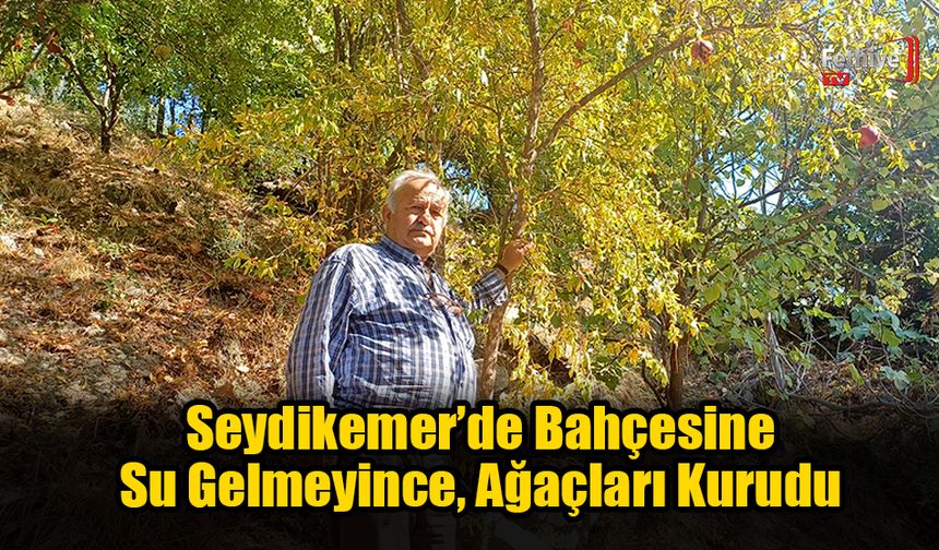 Seydikemer’de Bahçesine Su Gelmeyince, Ağaçları Kurudu