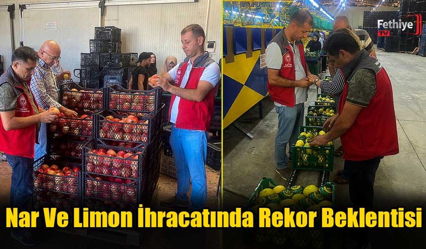 Nar Ve Limon İhracatında Rekor Beklentisi