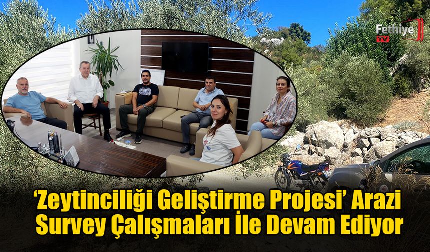 ‘Zeytinciliği Geliştirme Projesi’ Devam Ediyor