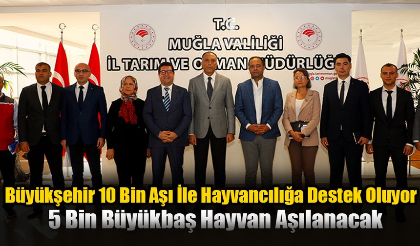 5 Bin Büyükbaş Hayvan Aşılanacak