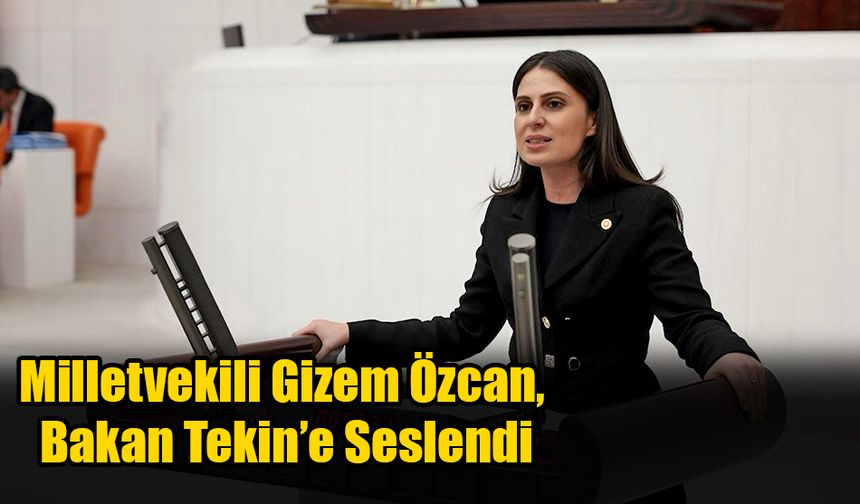 Milletvekili Gizem Özcan, Bakan Tekin’e Seslendi