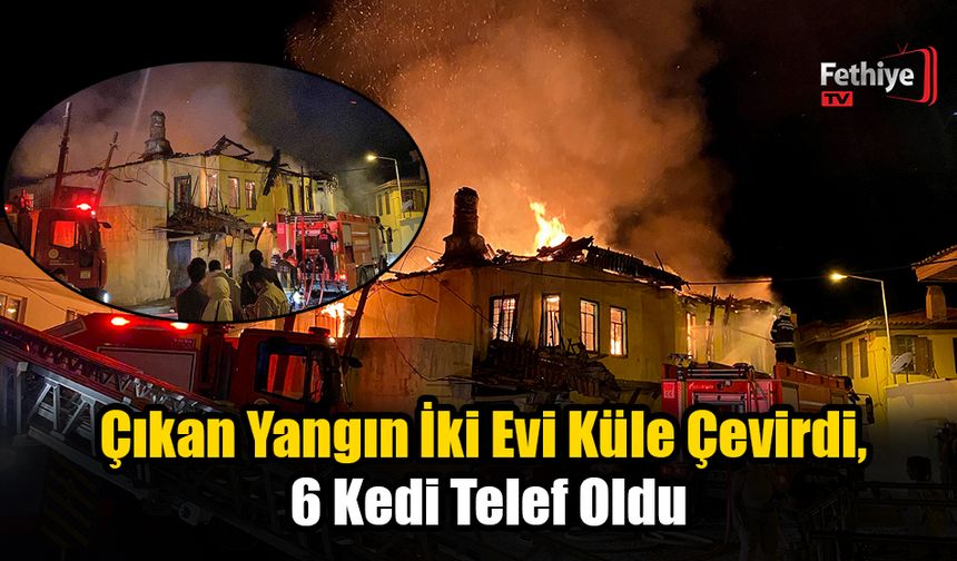 Milas'ta Geceyi Alevler Aydınlattı