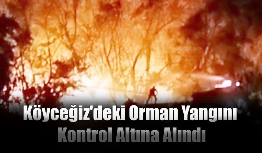 Köyceğiz'deki Orman Yangını Kontrol Altına Alındı