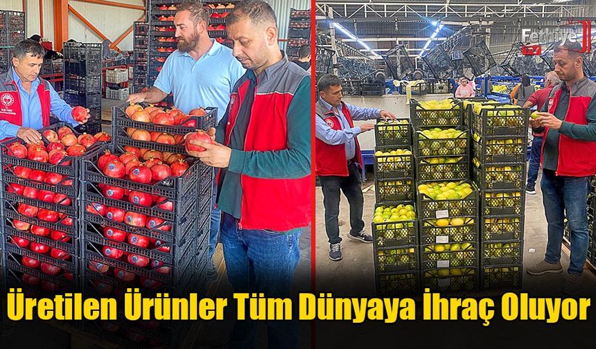 Üretilen Ürünler Tüm Dünyaya İhraç Oluyor