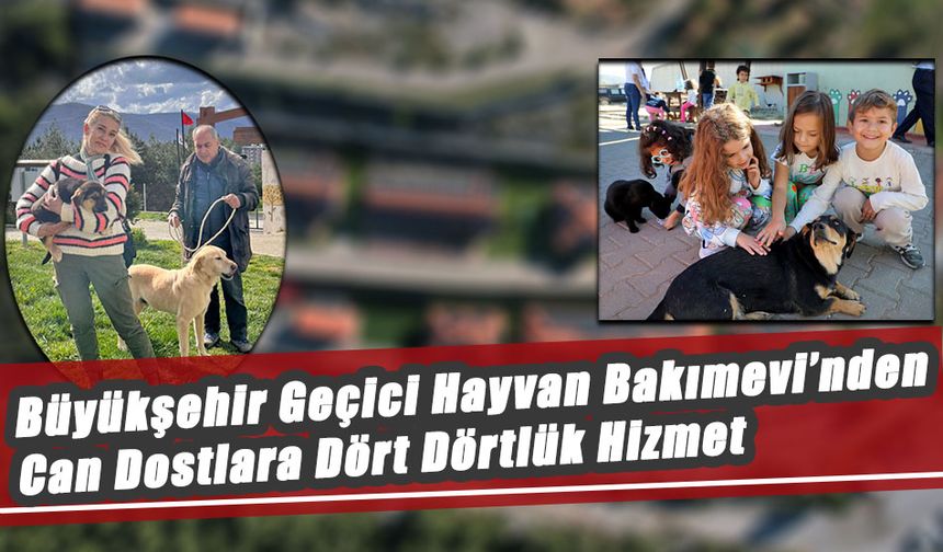 Büyükşehir Geçici Hayvan Bakımevi’nden Can Dostlara Dört Dörtlük Hizmet