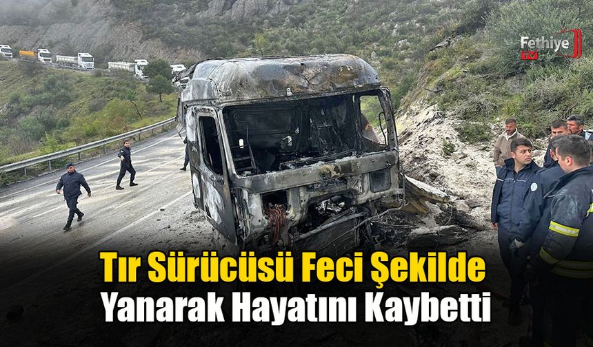 Tır Sürücüsü Feci Şekilde Yanarak Hayatını Kaybetti