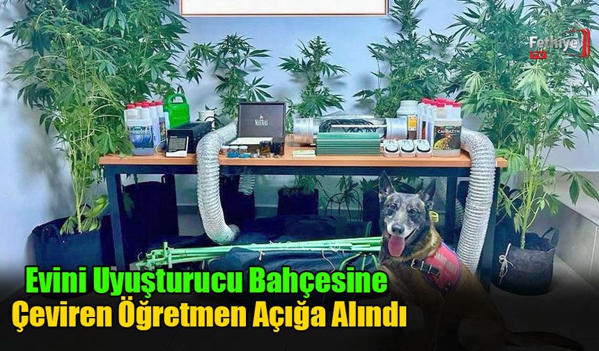 Evini Uyuşturucu Bahçesine Çeviren Öğretmen Açığa Alındı