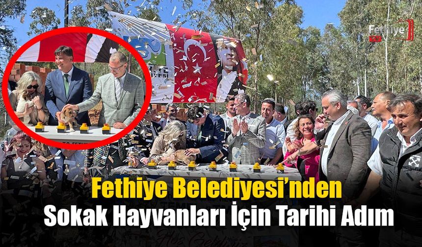 Fethiye Belediyesi’nden Sokak Hayvanları İçin Tarihi Adım
