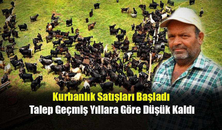 Kurbanlık Satışları Başladı, Talep Geçmiş Yıllara Göre Düşük Kaldı