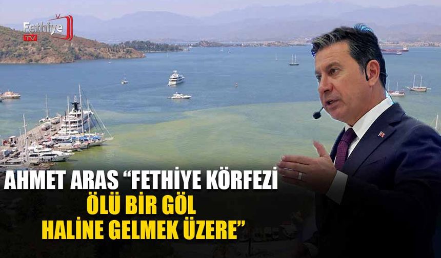Ahmet Aras “Fethiye Körfezi Ölü Bir Göl Haline Gelmek Üzere”