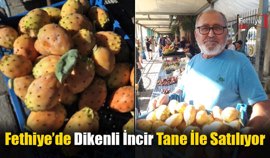 Fethiye’de Dikenli İncir Tane İle Satılıyor