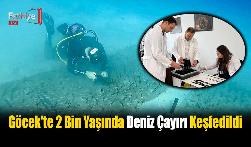 Göcek'te 2 Bin Yaşında Deniz Çayırı Keşfedildi