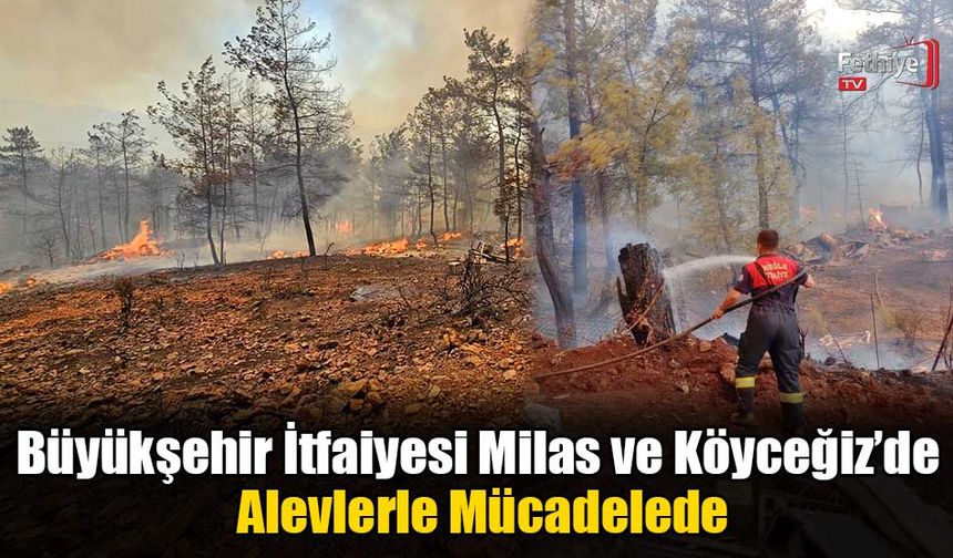 Büyükşehir İtfaiyesi Milas ve Köyceğiz’de Alevlerle Mücadelede