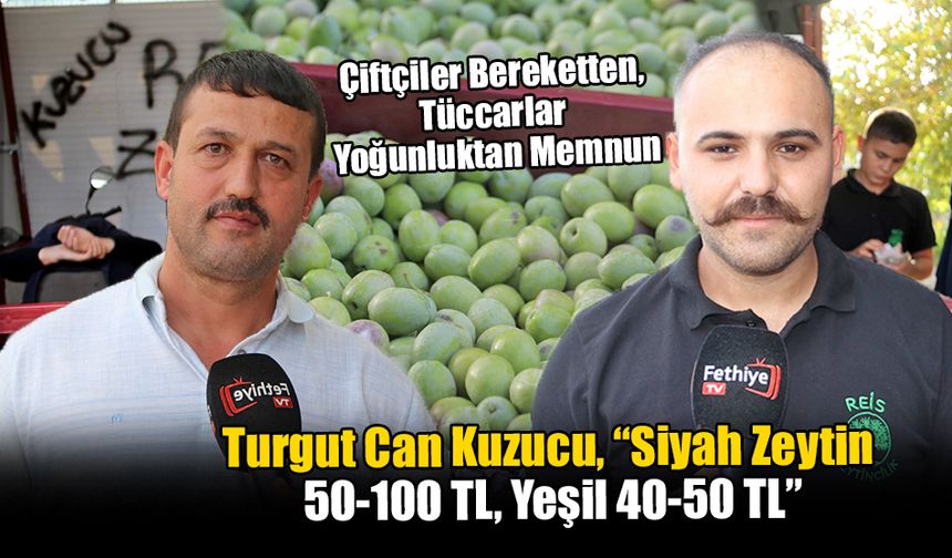 Fethiye’de Zeytin Hasadı Başladı