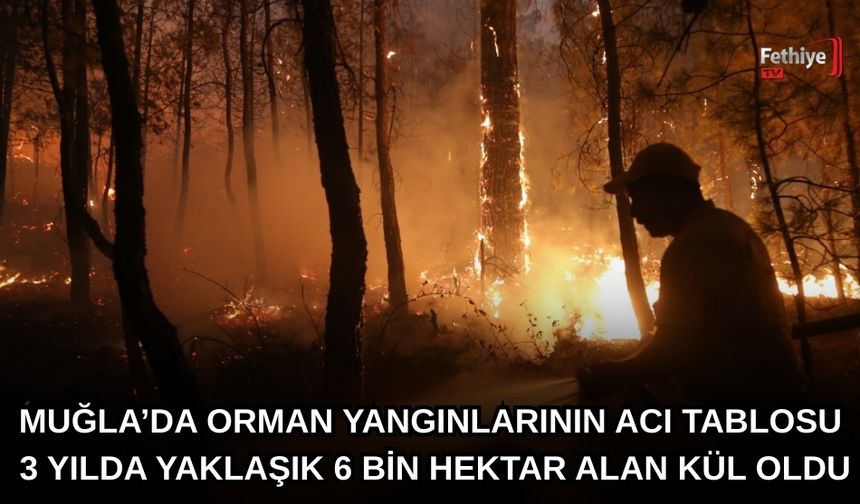 Muğla’da Orman Yangınlarının Acı Tablosu