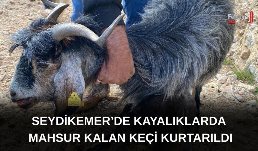 Seydikemer’de Kayalıklarda Mahsur Kalan Keçi Kurtarıldı