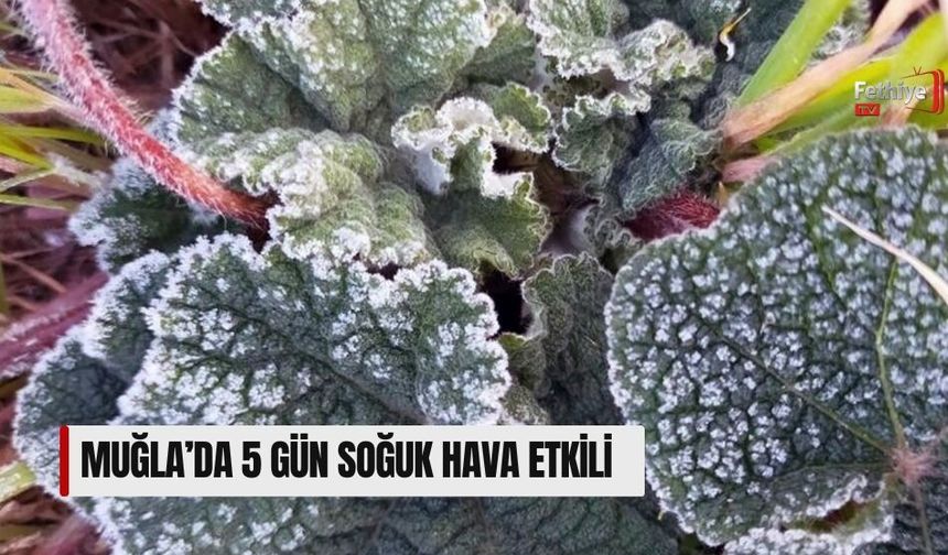 Muğla’da 5 Gün Soğuk Hava Etkili